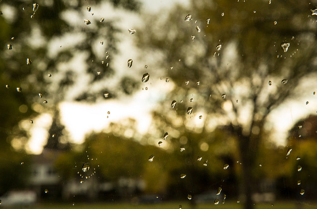 spring prep - Rain