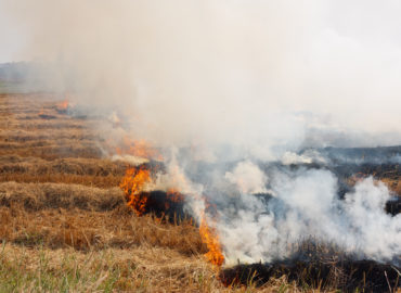 total loss fire claim natural disaster